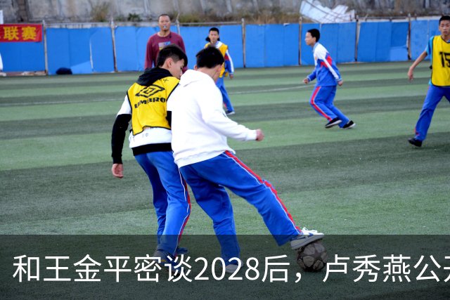 和王金平密谈2028后，卢秀燕公开谈两岸，与郑丽文路线背道而驰