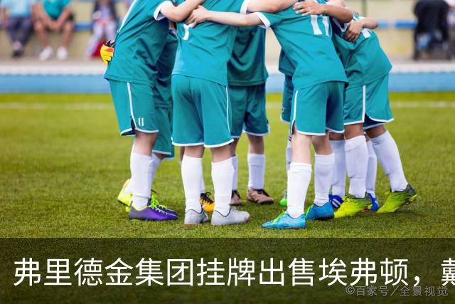 弗里德金集团挂牌出售埃弗顿，戴尔家族入局竞购